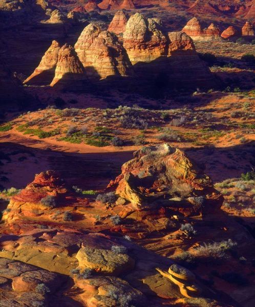 Arizona, Sandstone formations in the Paria Canyon